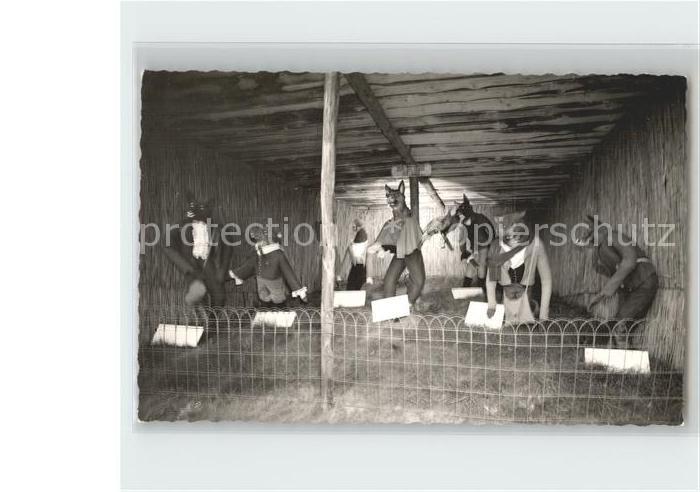 Maerchen Sagen Willingen Märchenpark Wahl des Königs d