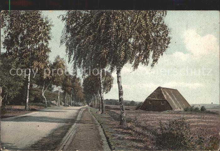 Lueneburger Heide Garlstorf
