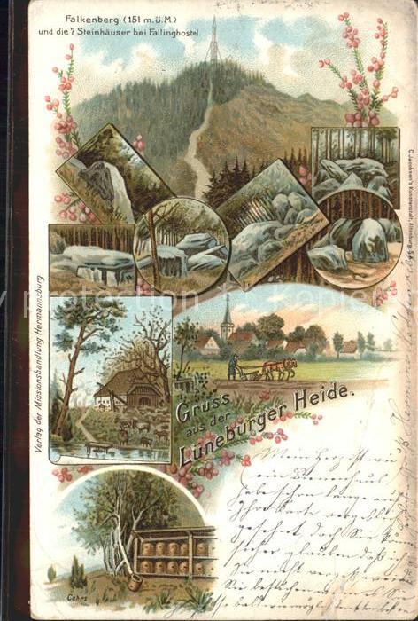 Lueneburger Heide Falkenberg