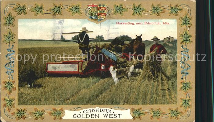 Ernte Landwirtschaft Harvesting Edmonton Alta Canada