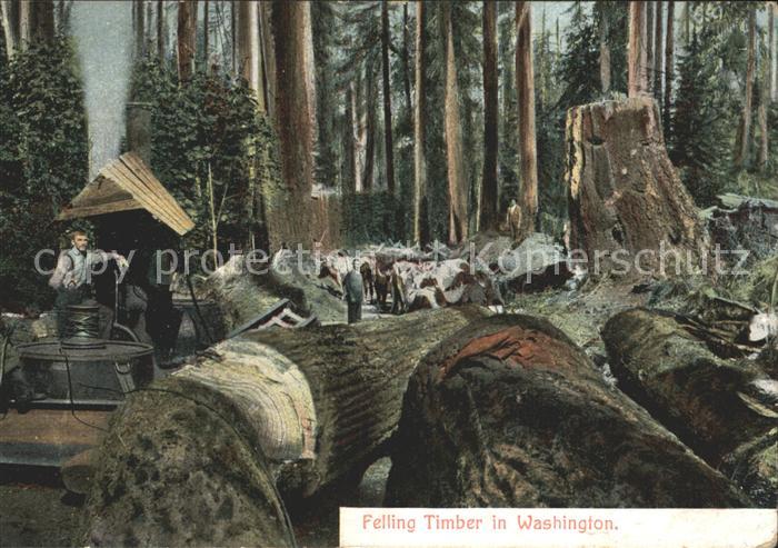 Berufe Forstwirtschaft Holzfäller Felling Timb
