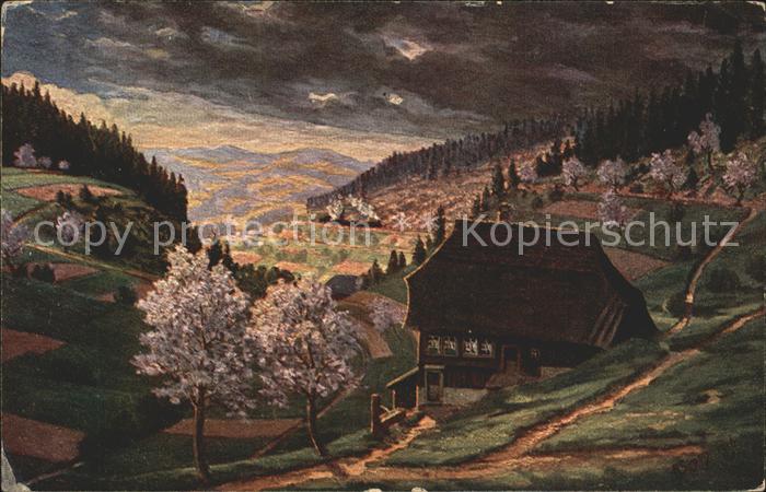 Simon A. Fruehling im Schwarzwald Nussbachtal
