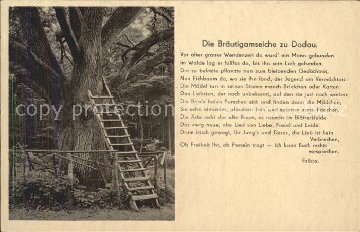 Baeume Trees Bräutigamseiche Dodau Gedicht Fribra