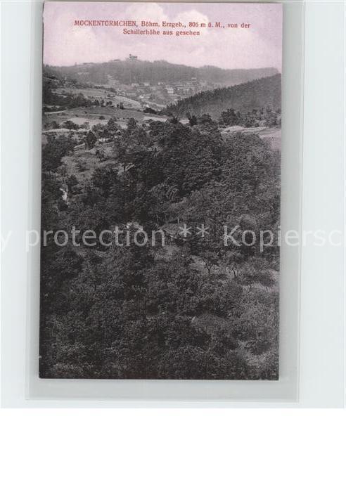 Mueckentuermchen Blick von der Schillerhoehe