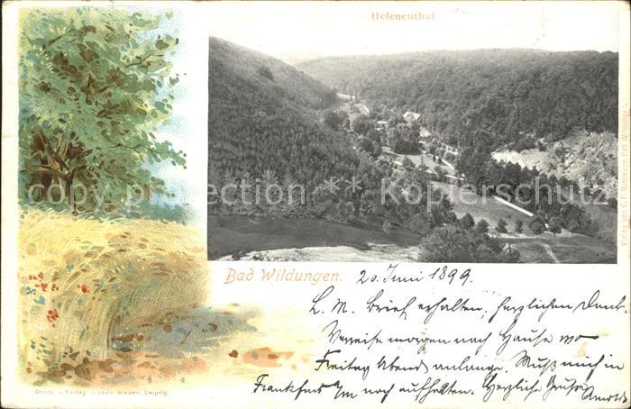 Bad Wildungen Helenenthal