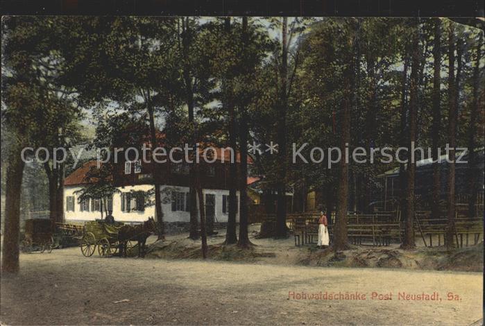 Neustadt Sachsen Hohwaldschaenke Pferdekutsche
