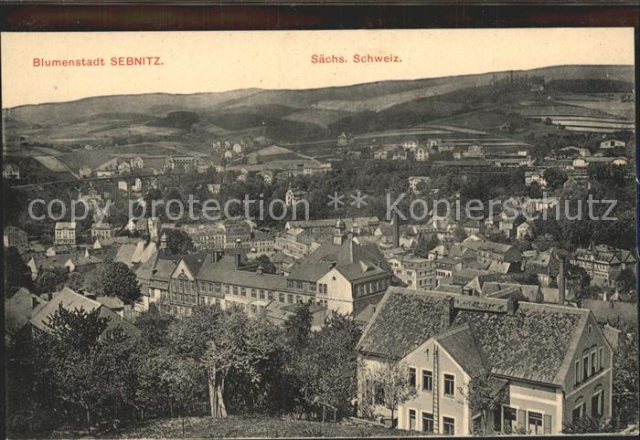 Sebnitz Blick ueber die Blumenstadt