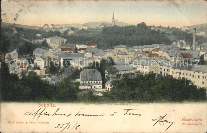 Sebnitz Blick ueber die Stadt Handkolorierte Kuenstlerkarte