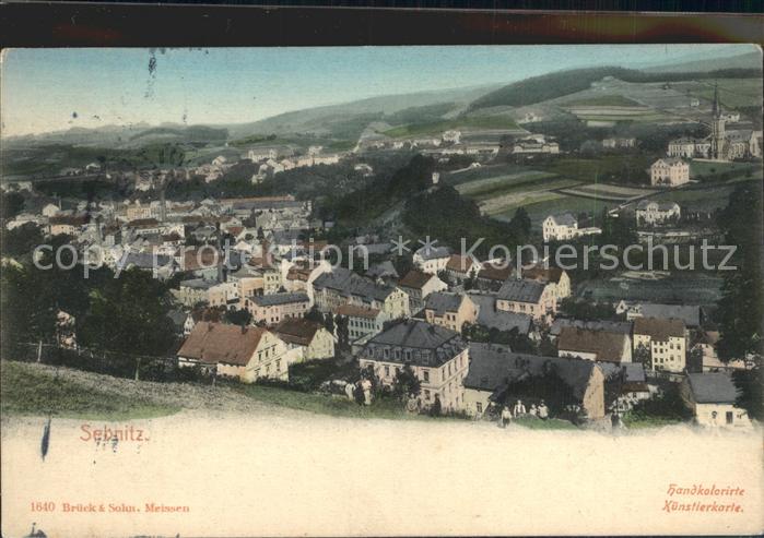 Sebnitz Teilansicht Blumenstadt Handkolorierte Kuenstlerkarte