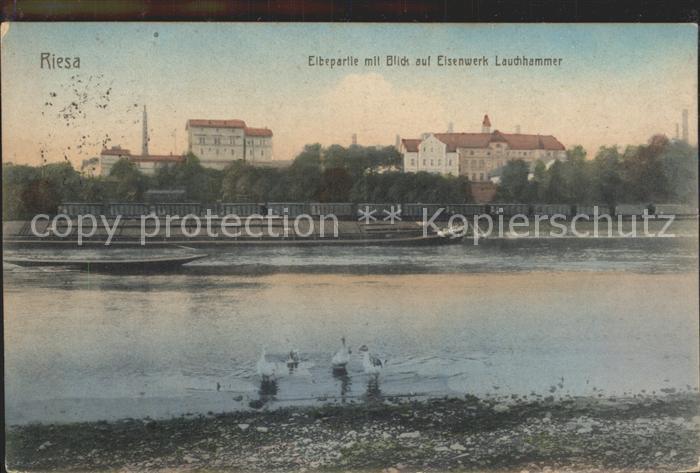 Riesa Sachsen Elbepartie mit Blick auf Eisenwerk Lauchhammer