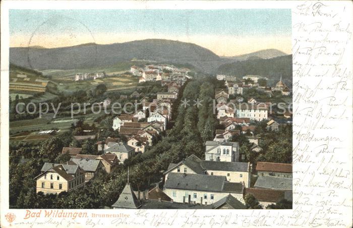 Bad Wildungen Brunnenallee