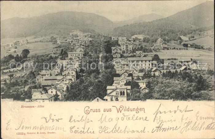 Bad Wildungen Brunnen Allee