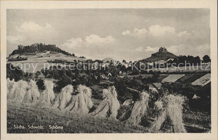 Schoena Herrnskretschen Panorama Landschaft Erntezeit