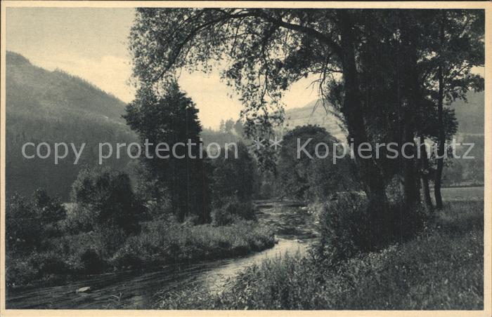 Bensen Tschechien Uferpartie am Fluss Polzental