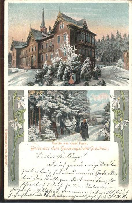 Gruenhain-Beierfeld Genesungsheim Park