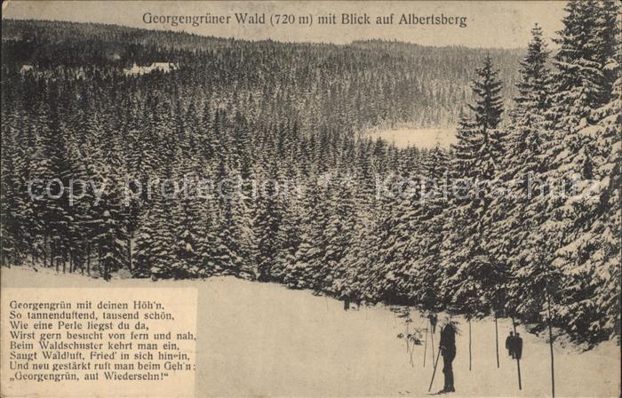 Georgengruen Vogtland Albertsberg Ski