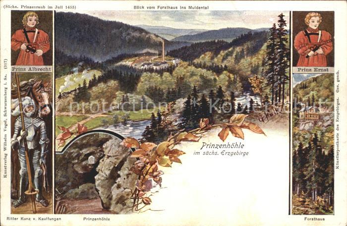 Hartenstein Zwickau Prinzenhoehle Prinz Ernst Albrecht Forsthaus Kuenstlerkarte