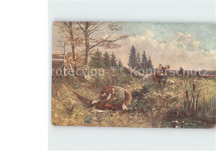 Fuchs Tiere Auerhahn Kuenstlerkarte