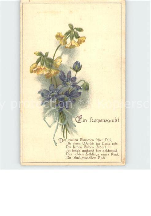 Gedicht auf AK Ein Herzensgruss Schluesselblumen Leberbluemchen Litho