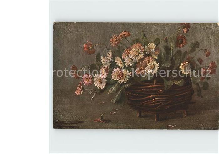 Blumen Gänseblümchen