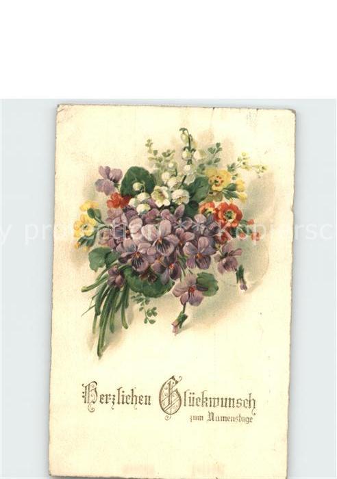 Namenstag Namenskarte Veilchen Maigloeckchen Schluesselblumen Litho