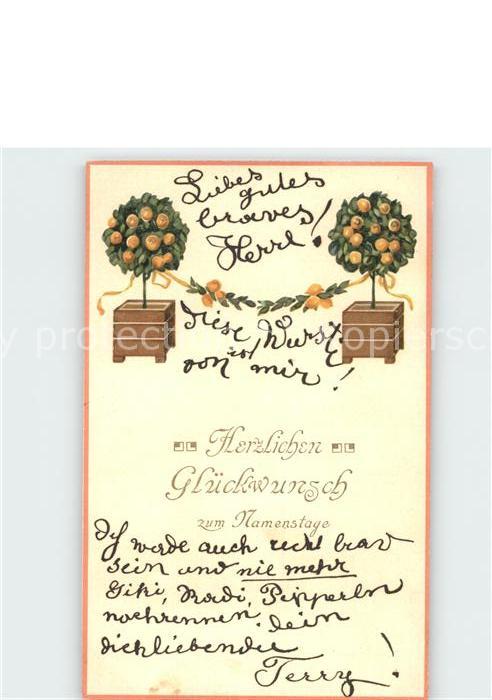 Namenstag Namenskarte Glueckwunsch Zitronenbaeume Litho