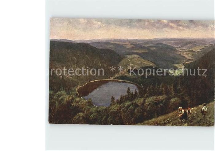 Hoffmann Heinrich Feldberg-Seebuck Feldsee