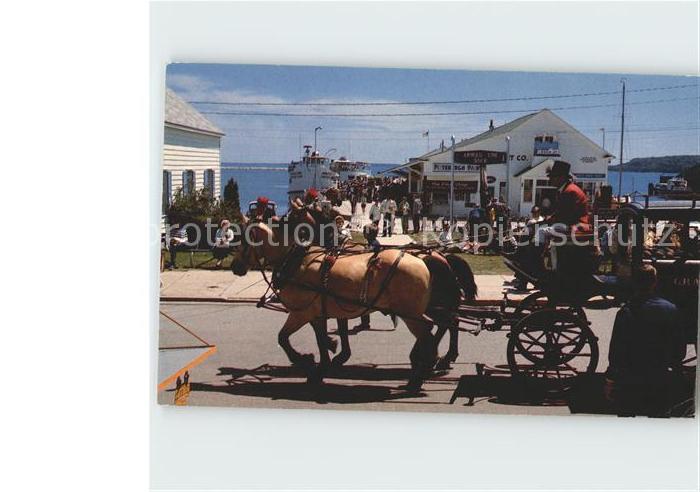 Pferdekutschen Carriage Team Main Street Mackinac Island Michigan