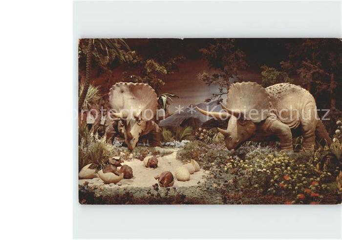 Disneyland California Primeval World Triceratops