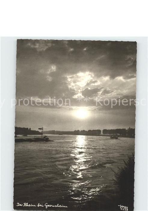 Foto Popp Nr. 2228 Rhein Gernsheim