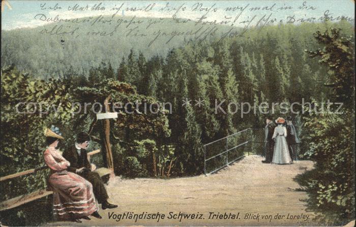 Plauen Vogtland Triebtal Blick von der Loreley