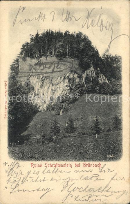 Gruenbach Schneeberg Ruine Schrattenstein