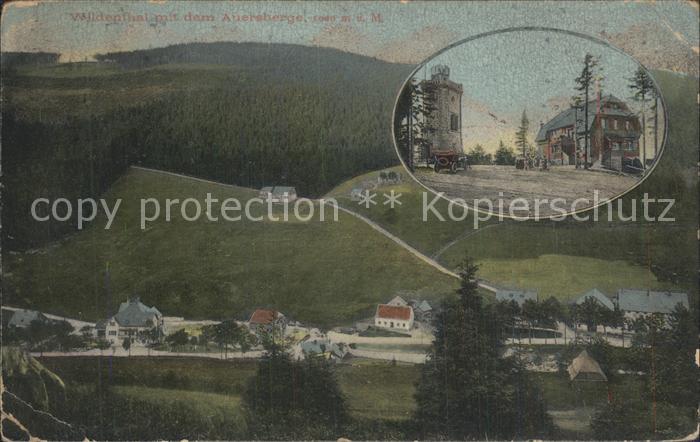 Auersberg Wildenthal mit Unterkunftshaus und Aussichtsturm