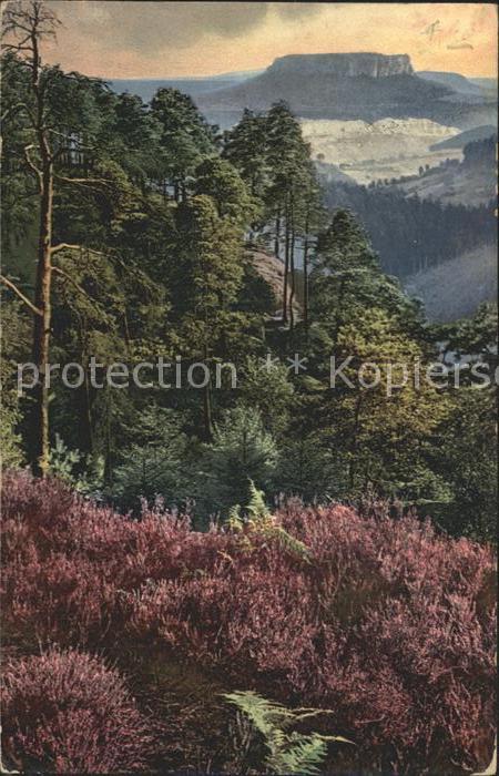 Tulln Donau Landschaftspanorama