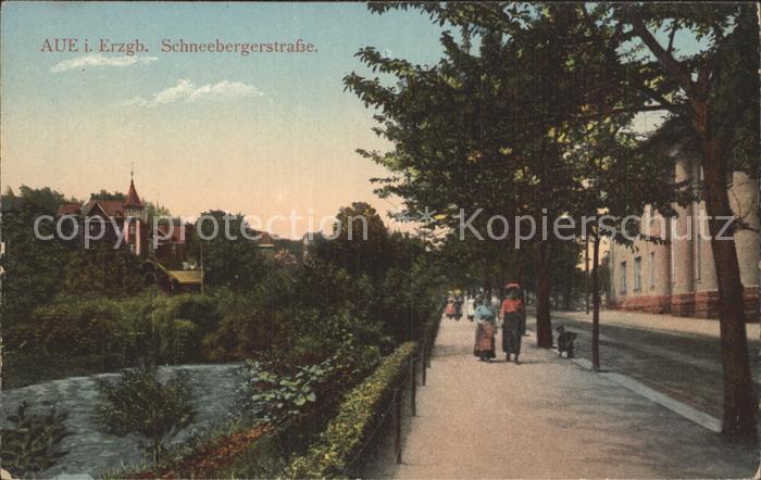 Aue Erzgebirge Schneebergerstrasse