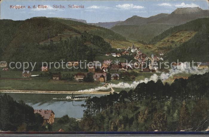 Krippen Bad Schandau Elbepartie mit Dampfer Panorama