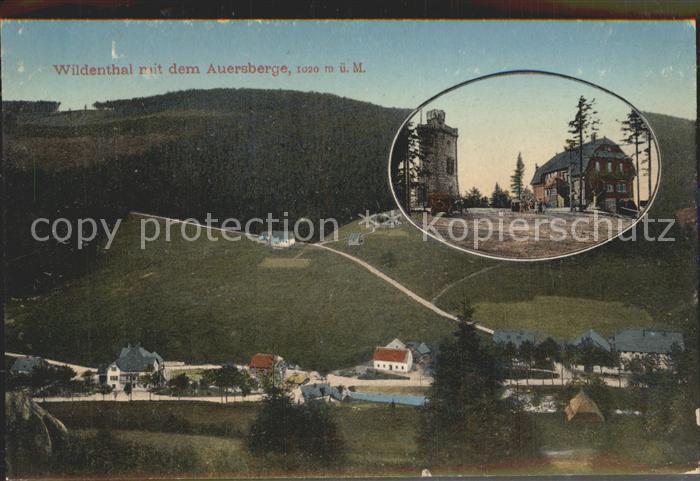 Auersberg Wildenthal Ortsansicht mit Berggasthaus Auersberghaus und Aussichtstur