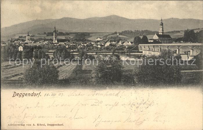 Deggendorf Donau Stadtblick Kirchen