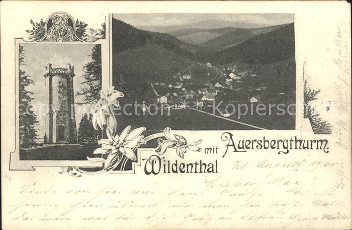 Auersberg Wildenthal mit Aussichtsturm