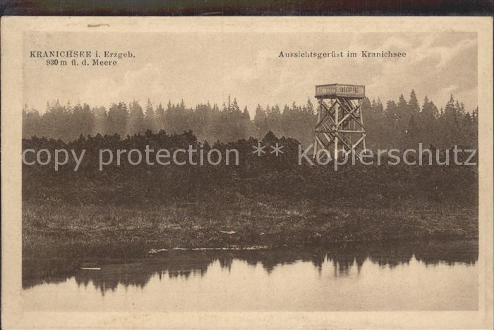 Erzgebirge Region Kranichsee Aussichtsturm