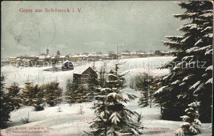 Schoeneck Vogtland Winterpanorama