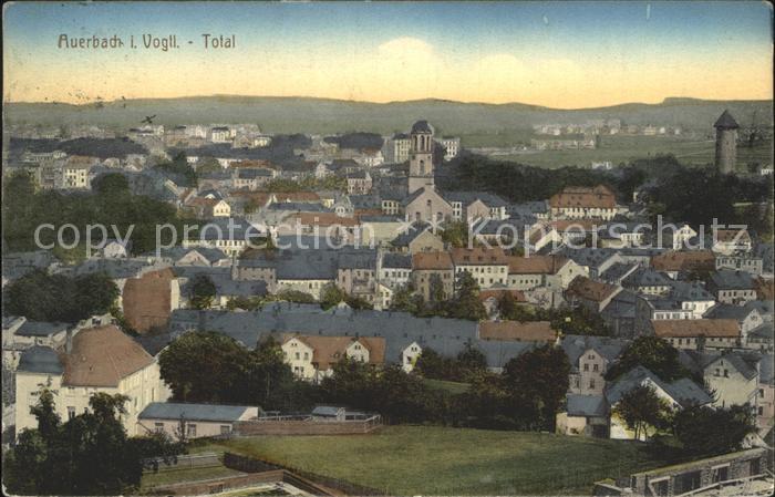 Auerbach Vogtland Blick ueber die Stadt