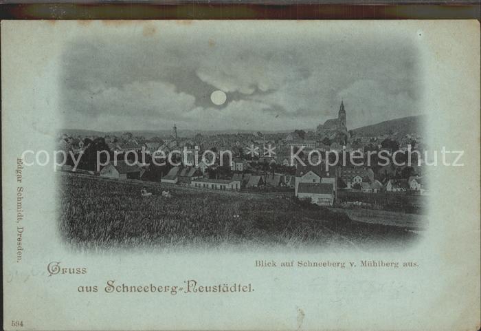 Neustaedtel Sachsen Blick auf Schneeberg vom Muehlberg aus im Mondschein Reichsp
