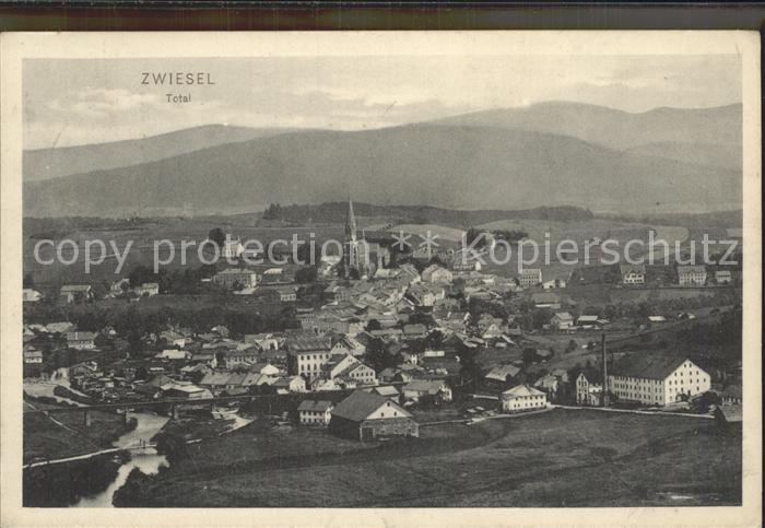 Zwiesel Niederbayern Gesamtansicht Bayerischer Wald