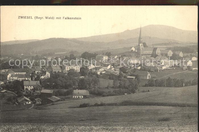 Zwiesel Niederbayern Ortsansicht mit Kirche und Falkenstein