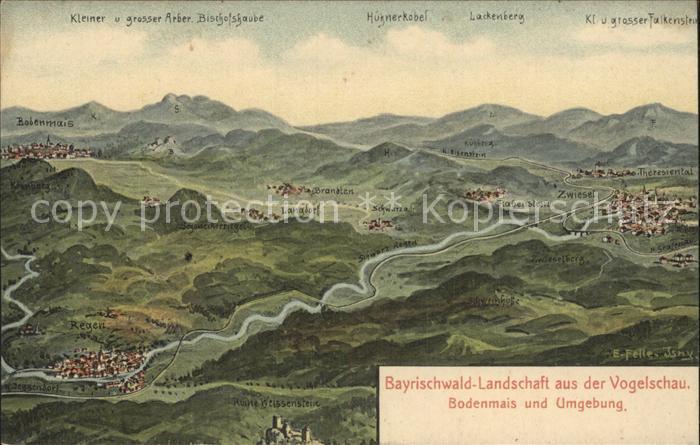 Bodenmais Bayrischwald Landschaft aus der Vogelschau