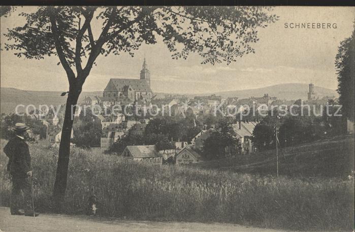 Schneeberg Erzgebirge Stadtbild mit Kirche