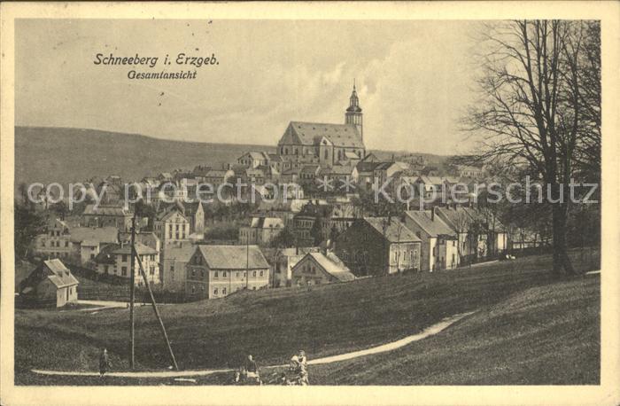 Schneeberg Erzgebirge Ortsansicht mit Kirche