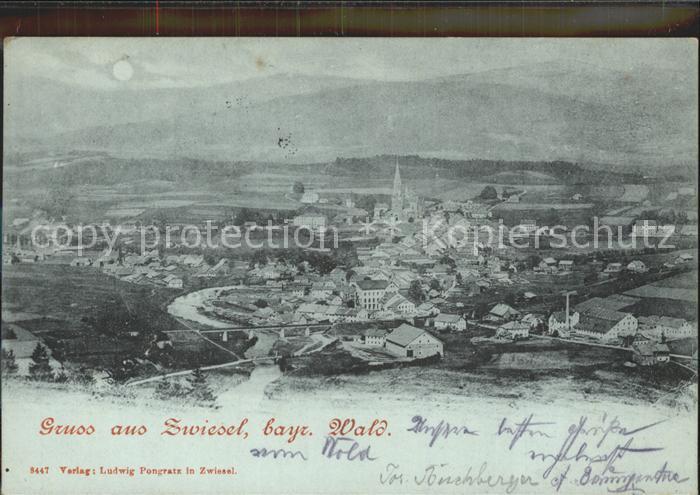 Zwiesel Niederbayern Stadtansicht