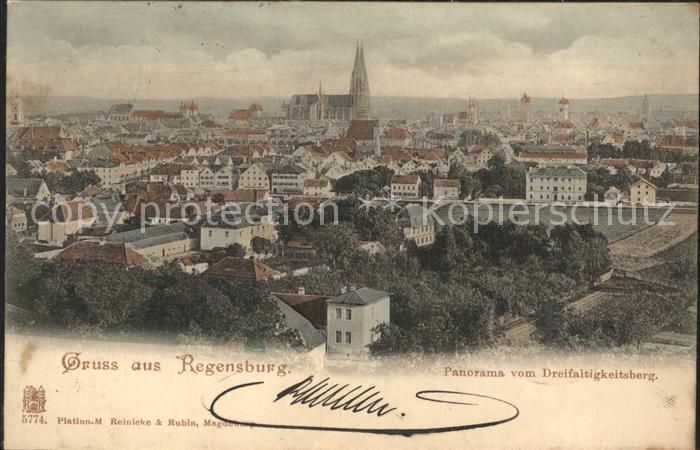 REGENSBURG Bayern Panorama vom Dreifaltigkeitsberg mit Dom